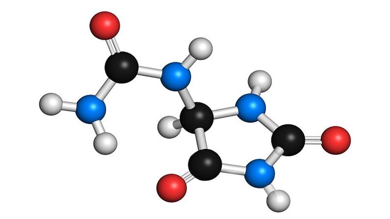 Allantoin w Hondrolife